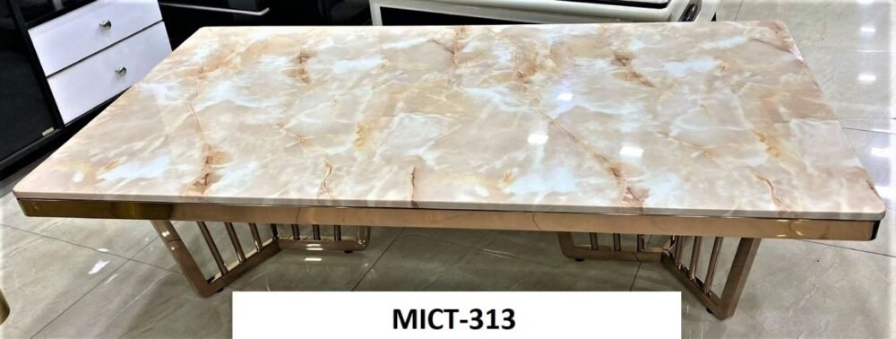 MICT-313